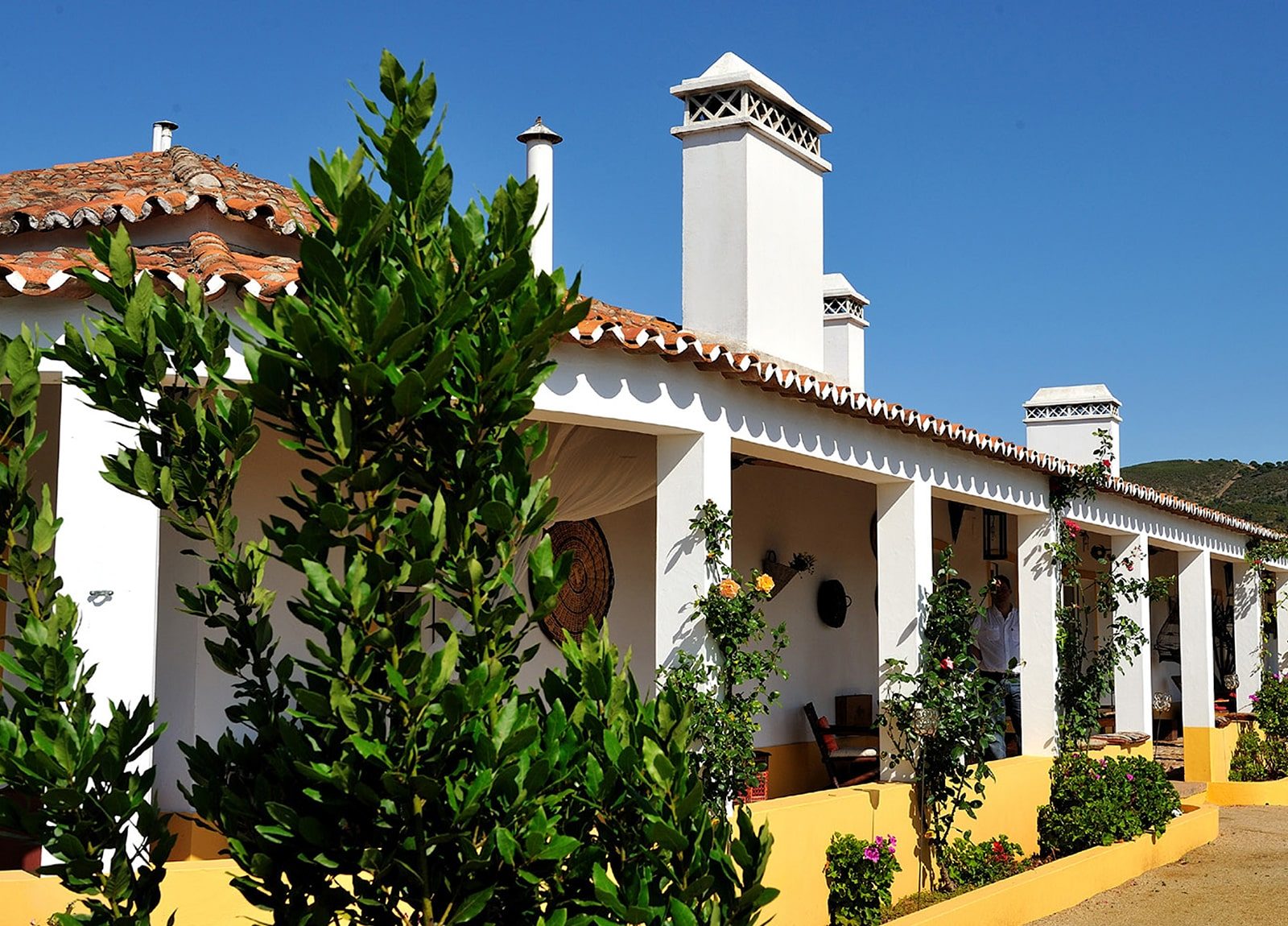 Apel - Enoturismo “Herdade do Sobroso”