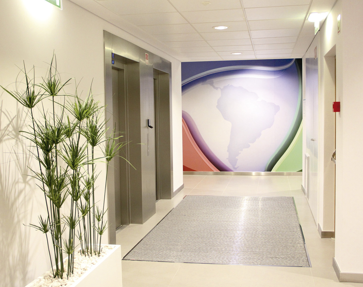 Apel - TV Record – Loures